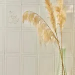 Fonte Velha Apartment