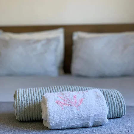 Fonte Velha Apartment *