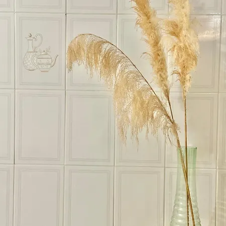 Fonte Velha アパート